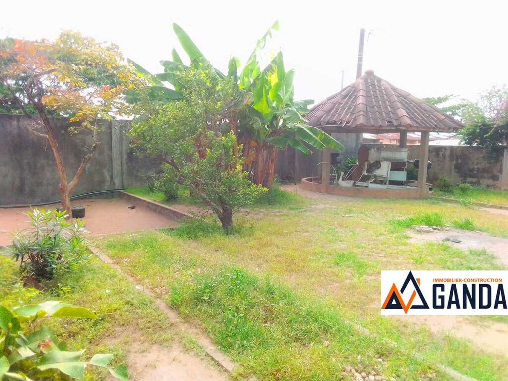 maison à vendre avec jardin, grand espace à Cotonou
