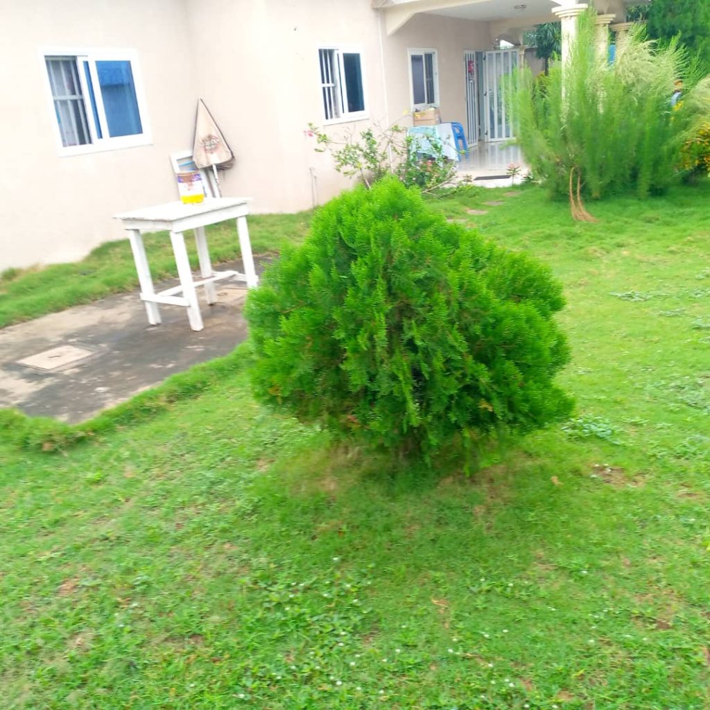 villa à vendre à Pahou avec jardin