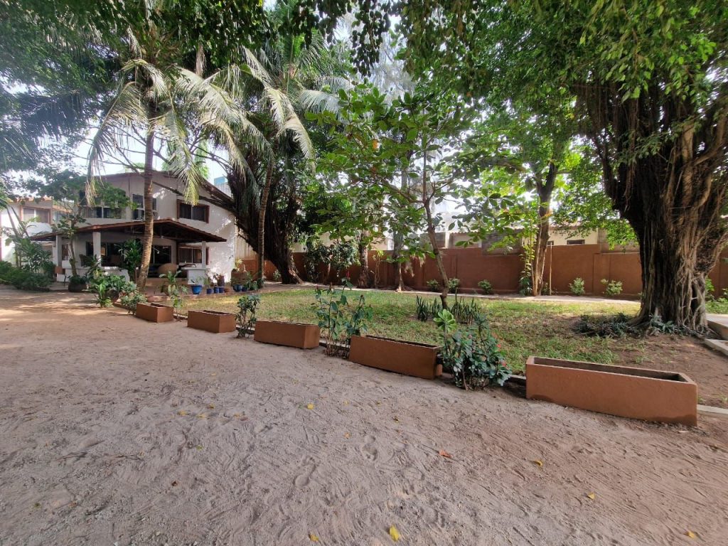 ardin paysager de la villa à Cotonou : oasis de verdure avec des plantes exotiques et des coins de détente.