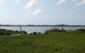 Terrain de 1,47 hectare au bord du lac Toho à Pahou – Ouidah À vendre avec titre foncier